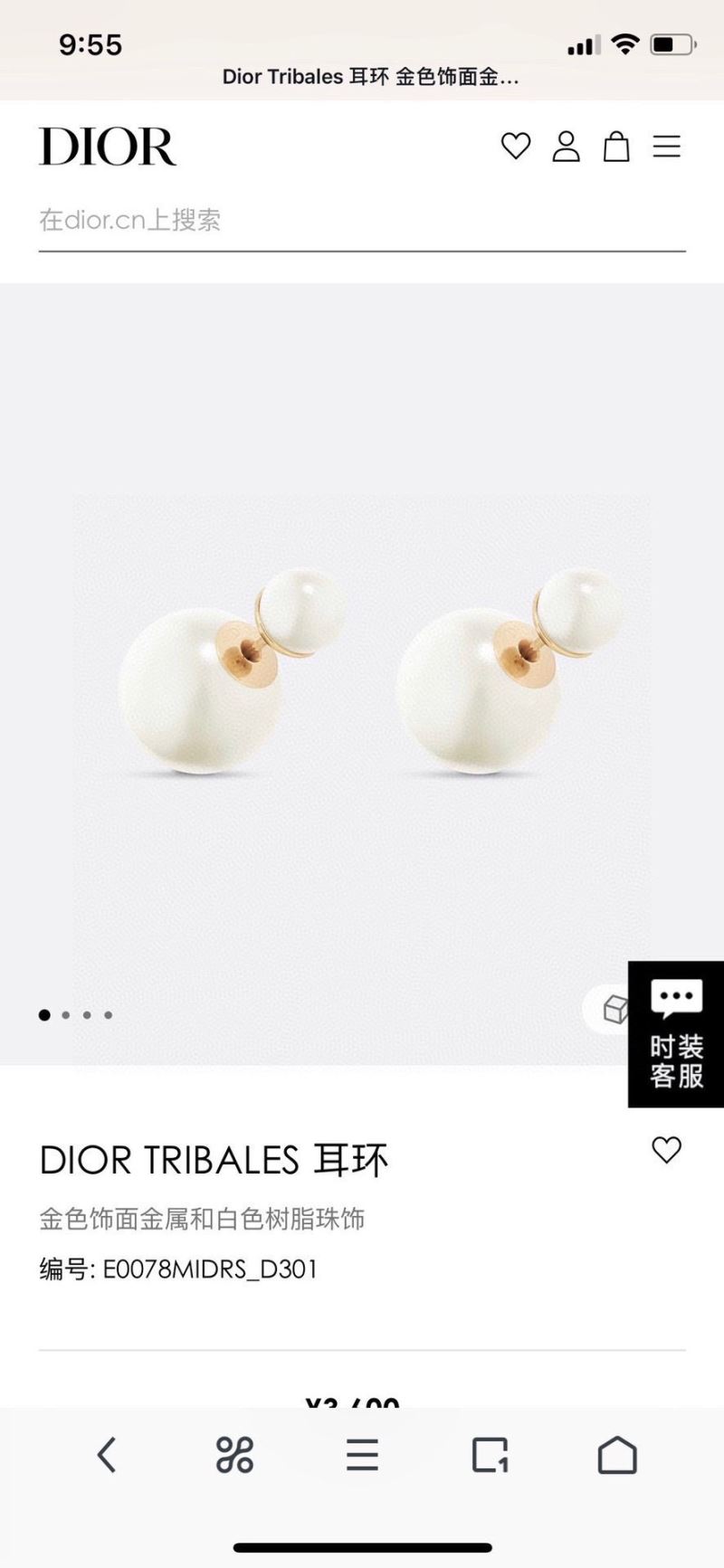 chr1st1an D10r earrings
